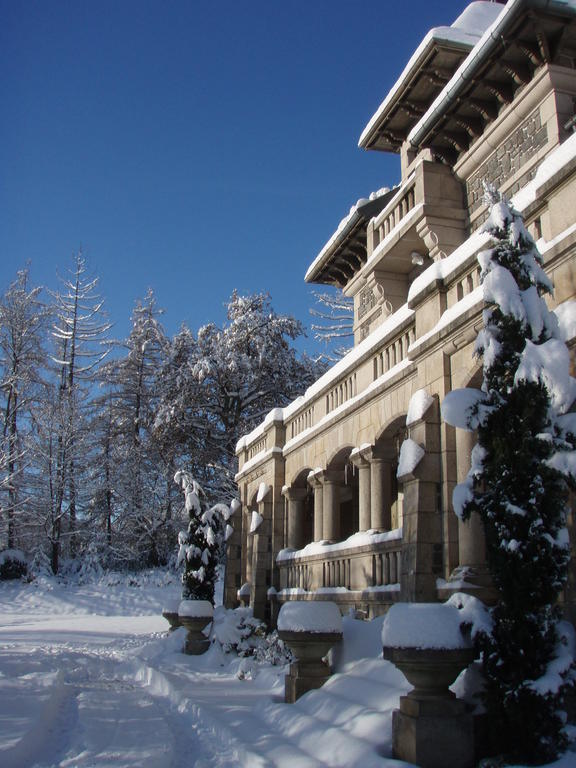 Le Terrondou Hotell Vic-sur-Cère Exteriör bild